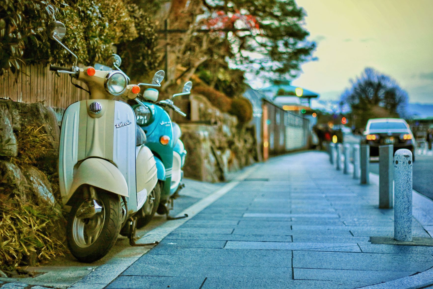 Scooter Fest